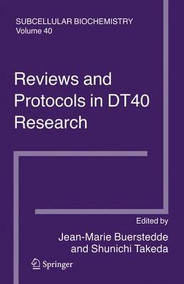 Reviews and Protocols in DT40 Research: Subcellular Biochemistry - Subcellular Biochemistry 40 (Paperback)