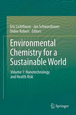 Environmental Chemistry for a Sustainable World: Environmental Chemistry for a Sustainable World Nanotechnology and Health Risk Volume 1 - Environmental Chemistry for a Sustainable World 1 (Paperback)