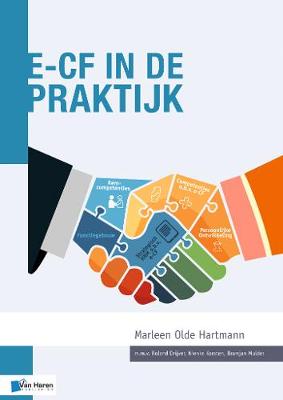 e-CF in de Praktijk (Paperback)
