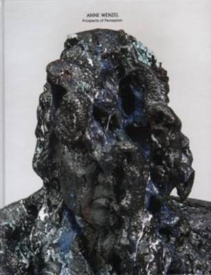 Anne Wenzel - Prospects of Perception (Hardback)