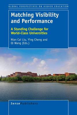 Matching Visibility and Performance: A Standing Challenge for World-Class Universities - Global Perspectives on Higher Education 35 (Paperback)