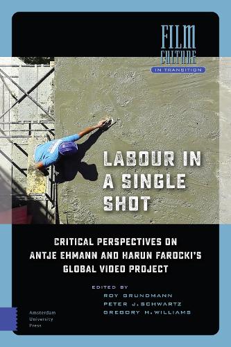 Labour in a Single Shot: Critical Perspectives on Antje Ehmann and Harun Farocki’s Global Video Project - Film Culture in Transition (Hardback)