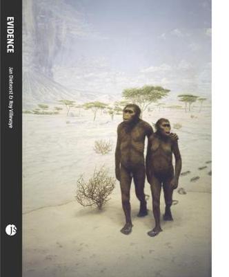 Jan Dietvorst And Roy Villevoye - Evidence (Paperback)