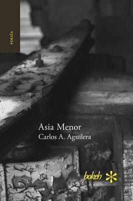 Asia Menor (Paperback)