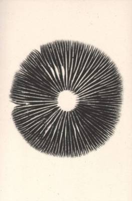 Annie Ratti - the Mushroom Project (Paperback)