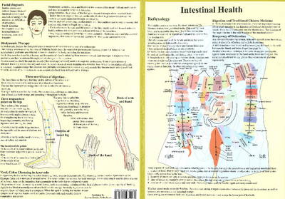 Intestinal Health -- Double Sided A4 (Poster)