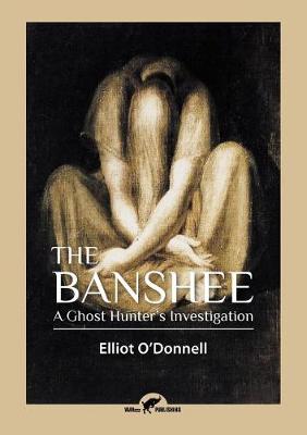 The Banshee: A Ghost Hunter's Investigation (Paperback)