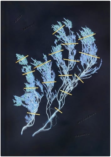 Cover of Wuthering Heights