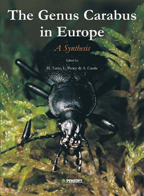 The Genus Carabus L. in Europe: A Synthesis - Fauna Europaea Evertebrata S. No. 2 (Hardback)