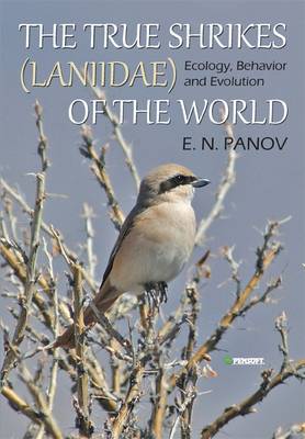 The True Shrikes (Laniidae) of the World: Ecology, Behavior and Evolution (Hardback)