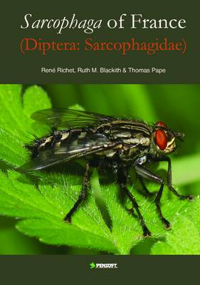 Sarcophaga of France (diptera: Sarcophaidae) - Pensoft Series Faunistica 97 (Hardback)