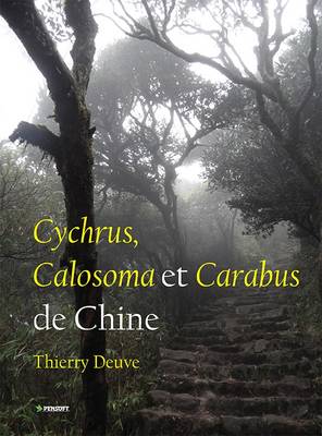 Cychrus, Calosoma Et Carabus De Chine - Pensoft Series Faunistica 105 (Paperback)