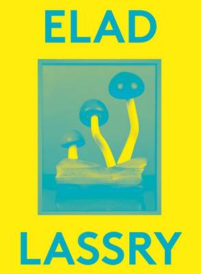 Elad Lassry: 2000 Words Series (Paperback)