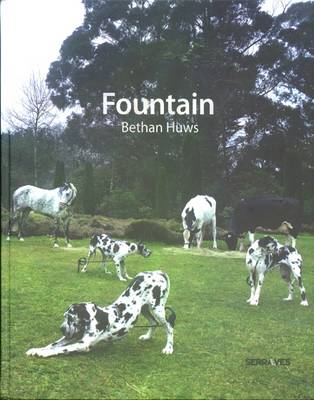 Bethan Huws: Fountain (Hardback)
