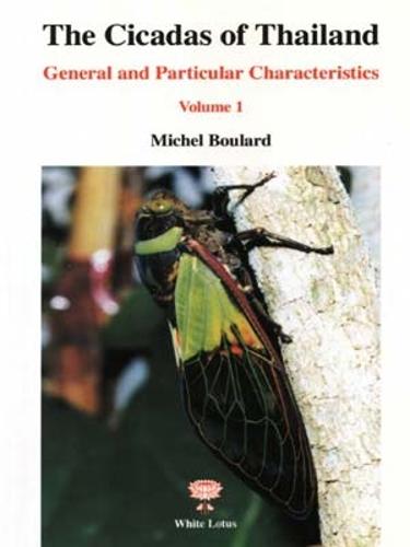 Cicadas of Thailand: Pt. 1 (Paperback)