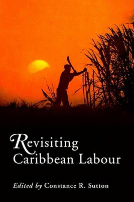Revisiting Caribbean Labour (Paperback)
