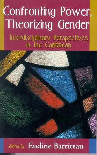 Confronting Power, Theorizing Gender (Paperback)