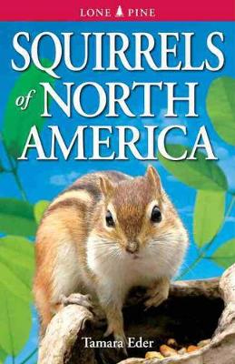 Squirrels of North America (Paperback)