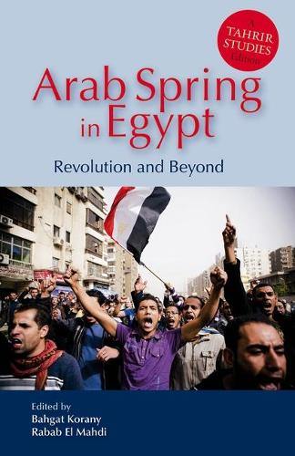 Arab Spring in Egypt: Revolution and Beyond (Paperback)
