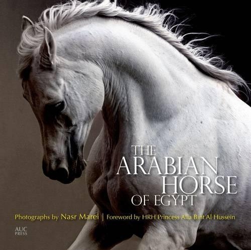 The Arabian Horse of Egypt (Paperback)