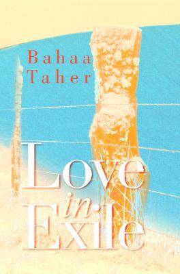 Love in Exile (Paperback)