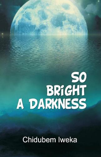 So Bright a Darkness (Paperback)