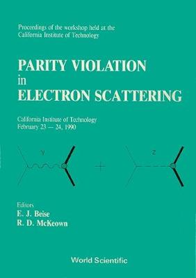 Parity Violation in Electron Scattering: Proceedings (Hardback)
