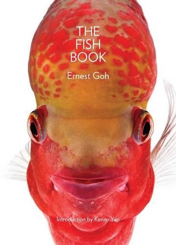 The Fish Book (Hardback)