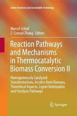 Reaction Pathways and Mechanisms in Thermocatalytic Biomass Conversion II: Homogeneously Catalyzed Transformations, Acrylics from Biomass, Theoretical Aspects, Lignin Valorization and Pyrolysis Pathways - Green Chemistry and Sustainable Technology (Paperback)