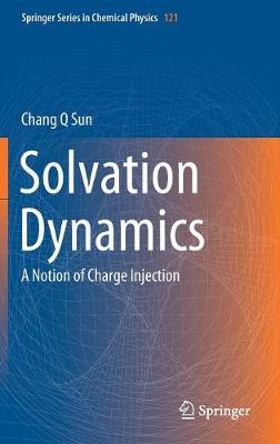 Solvation Dynamics: A Notion of Charge Injection - Springer Series in Chemical Physics 121 (Hardback)