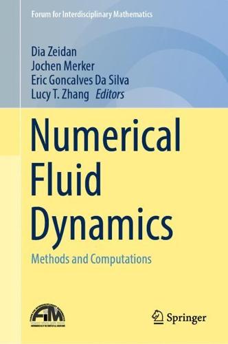 Numerical Fluid Dynamics by Dia Zeidan, Jochen Merker | Waterstones