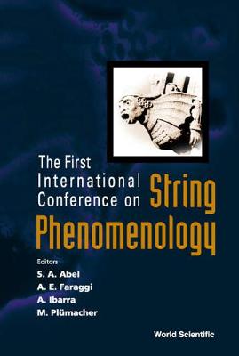String Phenomenology, Proceedings Of The First International Conference (Hardback)