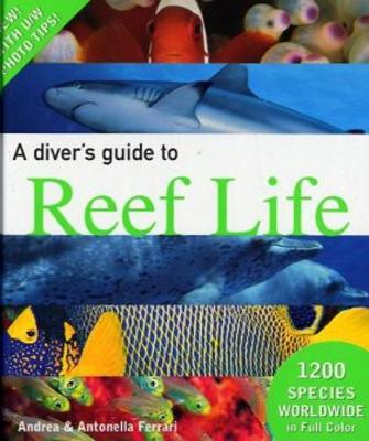 A Diver's Guide to Reef Life (Hardback)