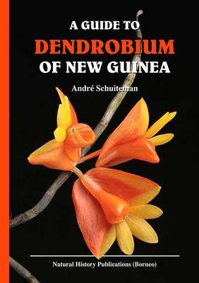 A Guide to Dendrobium of New Guinea (Hardback)