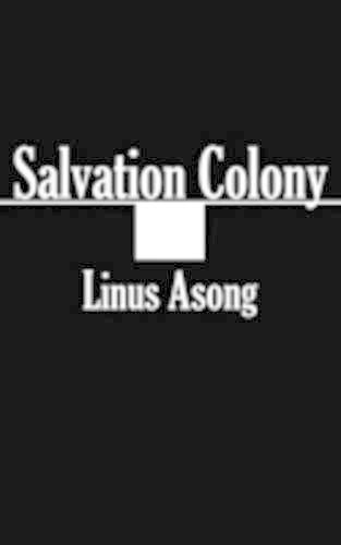 Salvation Colony (Paperback)