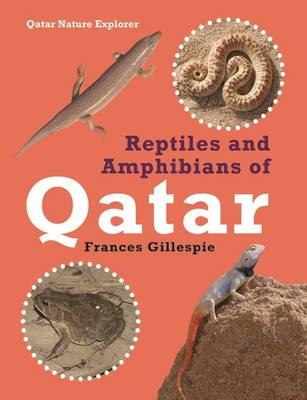 Reptiles and Amphibians of Qatar (Paperback)