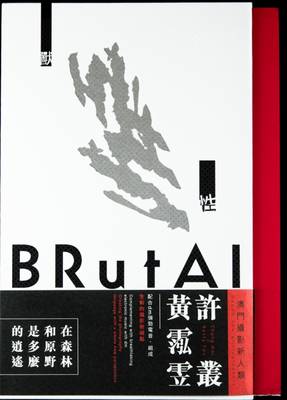 Brutal A Contemporary Photographic Book (Hardback)