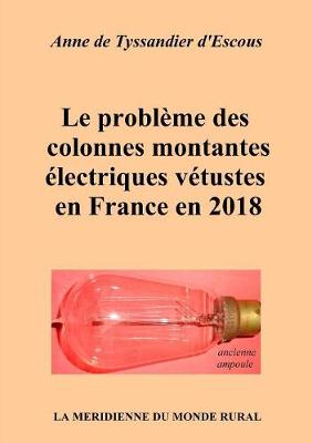 Le Probleme Des Colonnes Montantes Electriques Vetustes En France En 2018 (Paperback)