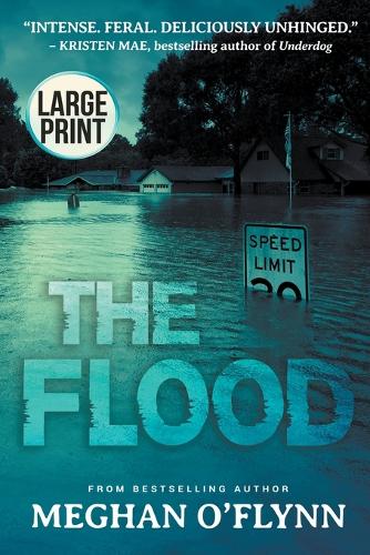 The Flood: A Novel (Large Print) (Paperback)