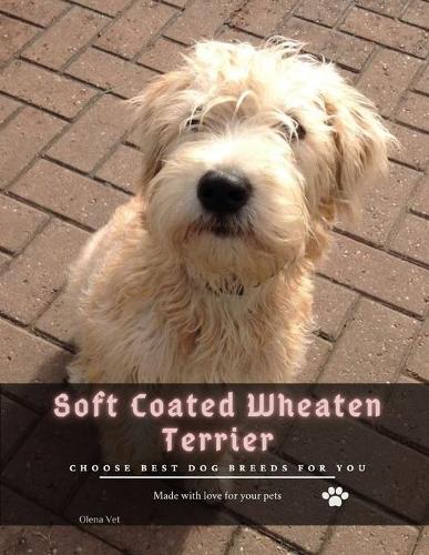 Soft Coated Wheaten Terrier: Choose best dog breeds for you (Paperback)