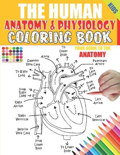 The Human Anatomy and Physiology Coloring Book by Lbrightside