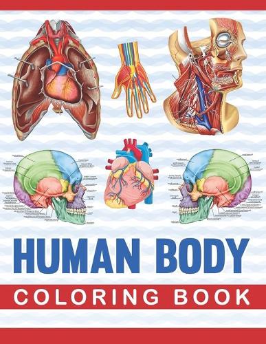 Human Body Coloring Book: Human Body Anatomy Coloring Book For Medical, High School Students. An Entertaining And Instructive Guide To The Human Body - Bones, Muscles, Blood, Nerves. Human Body Coloring book. Anatomy Coloring Book for kids. (Paperback)