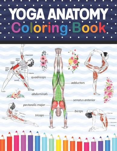 Academy, Anatomy: Yoga Anatomy Coloring Book for Beginners | idegen |  bookline