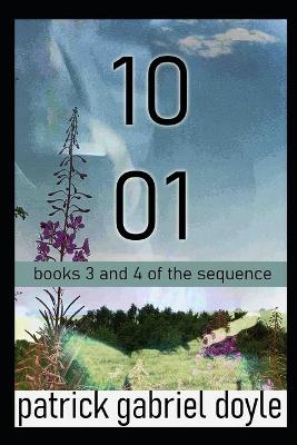 1001: books 3 & 4 (Paperback)