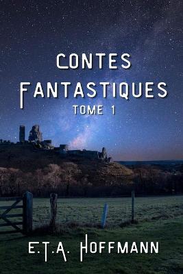 Contes Fantastiques: Tome 1 Illustre (Paperback)