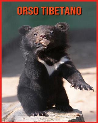 Orso Tibetano: Immagini bellissime e fatti interessanti Libro per bambini sui Orso Tibetano (Paperback)