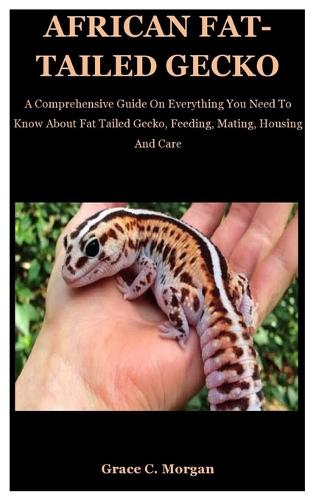 African Fat-Tailed Gecko: A Comprehensive Guide On Everything You Need To Know About Fat Tailed Gecko, Feeding, Mating, Housing And Care (Paperback)