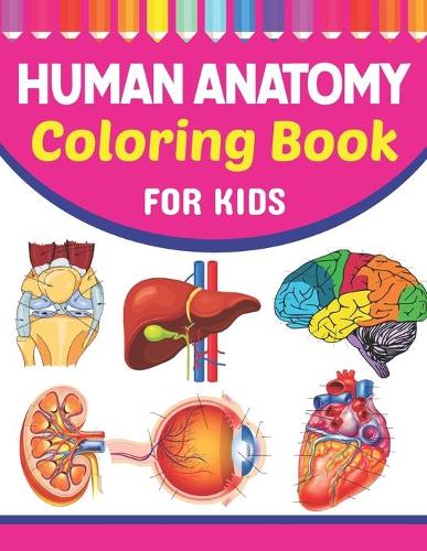 Human Anatomy Coloring Book For Kids: Collection of Simple Illustrations of Human Body Parts. Human Body Parts For Children's Boys & Girls. Brain Heart Lung Liver Figure Ear Anatomy Coloring Book. Learn Human Body Parts Anatomy With Fun & Easy. (Paperback)