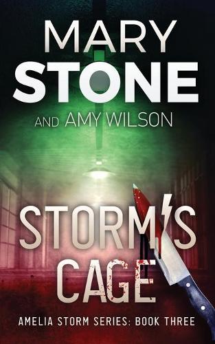 Storm's Cage - Amelia Storm 3 (Paperback)