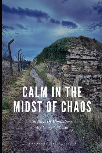 Calm In The Midst Of Chaos by Julian Jenkins | Waterstones